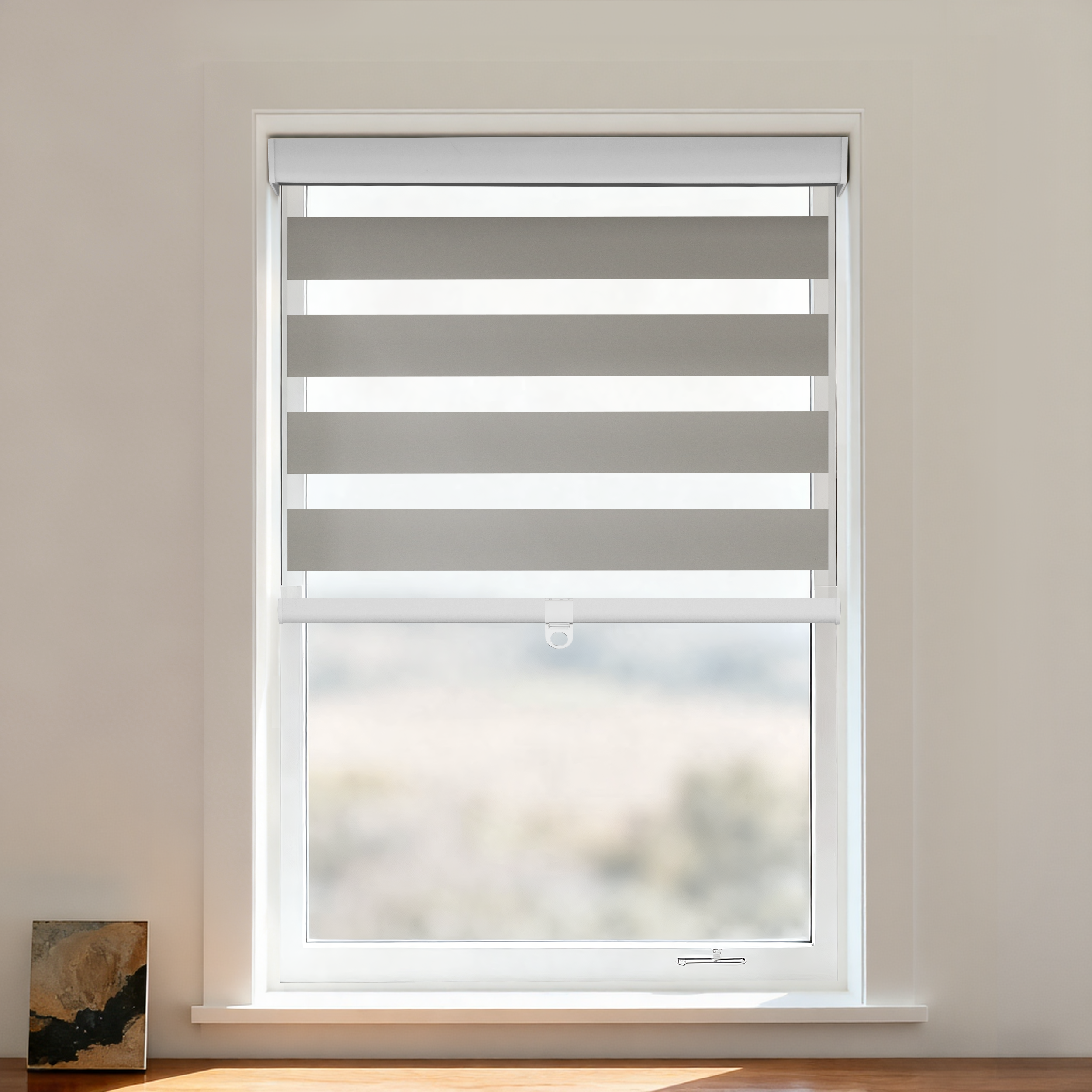 Rbss Blackout Zebra Shade Cordless