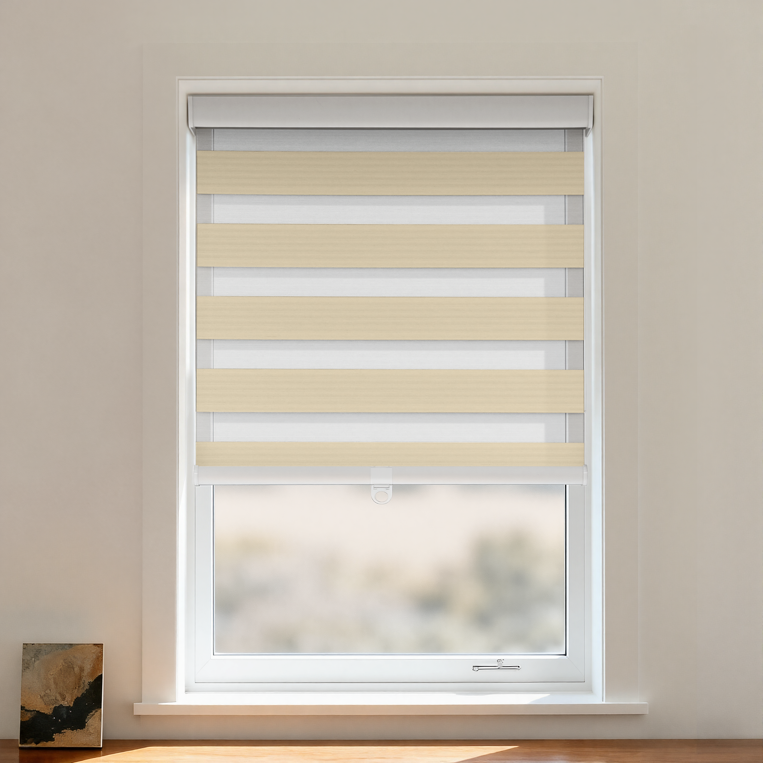 Nice Blackout Zebra Shade Cordless